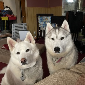 Fundraising Page: Laurie Williams